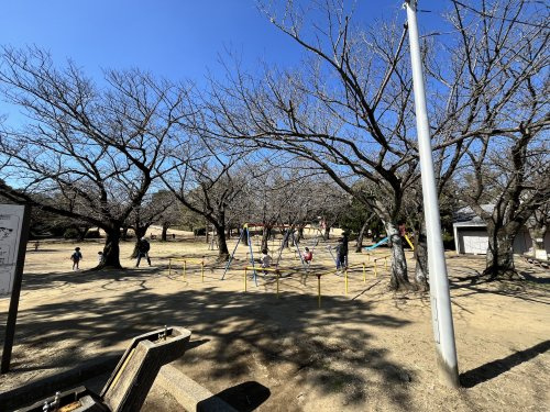 中央公園