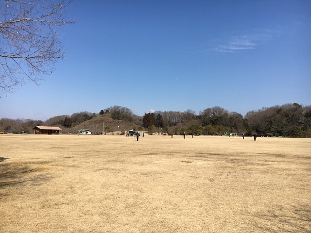 ふれあいパーク緑の丘