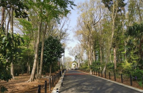 松ヶ丘ふるさと公園