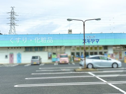 ドラッグスギヤマ　川越店