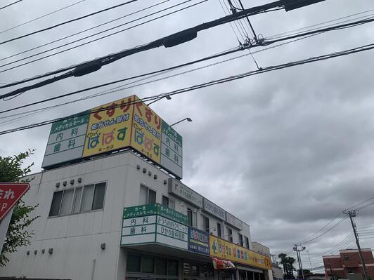 どらっぐぱぱす 本一色店