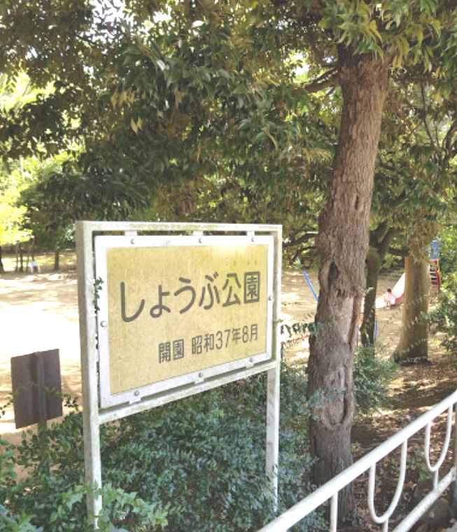 しょうぶ公園