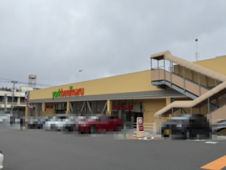 ヨークベニマル 菜根店