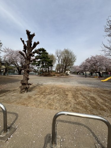 的場たぬき山公園