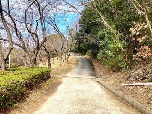 朝日山公園