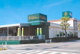 セキチュー 鶴川店