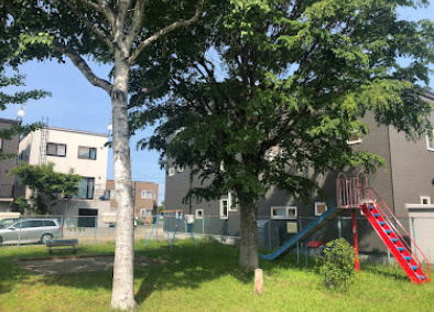 八軒白樺公園